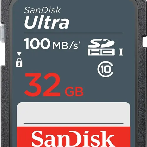 KARTE MEMORIE SANDISK SDSDUNR-032G-GN3IN